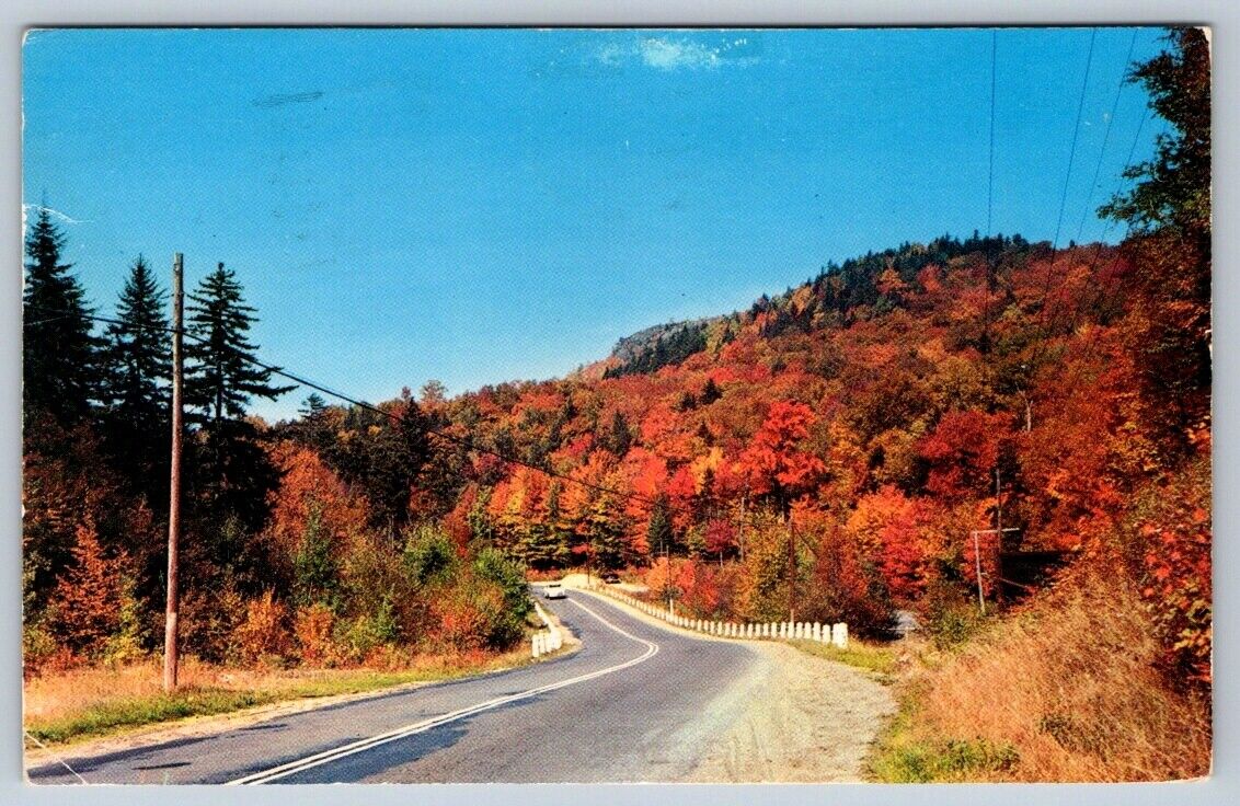 Fall Colors, Roadside Scene, Greetings From Pompton Lakes NJ, 1967 Postcard