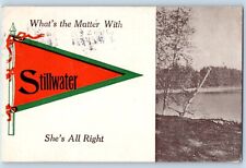 Stillwater Minnesota Postcard What's Matter She's All Right Pennant View c1912 picture