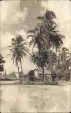 Honolulu Hawaii HI Palms & Two Buildings c1930s Real Photo Postcard picture