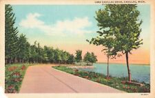 Cadillac MI Michigan, Lake Cadillac Drive, Vintage Postcard picture