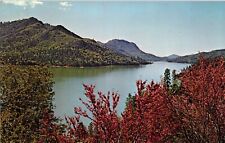 Shasta Lake California Vtg CA Postcard View Unused Eastman's Studios A picture
