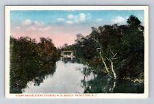 Princeton NJ-New Jersey, Stony Brook Scene, RR Bridge, Antique Vintage Postcard picture