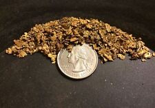 PREMIUM Gold Nugget Paydirt - Look for LARGE Gold Nuggets Pickers Panning picture