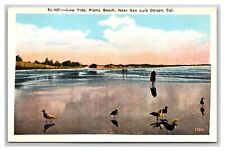 Pismo Beach Low Tide San Luis Obispo CA California UNP WB Postcard R29 picture