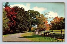 Greetings Cadillac Michigan Scenic Roadway Autumn Landscape Chrome Postcard picture