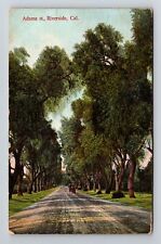 Riverside CA-California Scenic Tree Lined Adams Street c1907 Vintage Postcard picture