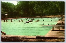 Austin Texas~Deep Eddy Swimming Pool Scenery~Curteichcolor Vintage Postcard picture