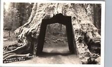 TUNNEL TREE big oak flat road yosemite ca real photo postcard rppc california picture