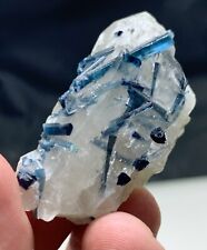 155 Carats Very Nice Dark Blue tourmaline Crystals  Bunch Specimen@ Afghanistan picture