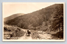 RPPC Man & Woman on Horse Buggy on Scenic Mountain Road Vermont VT Postcard picture