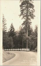 Pacific Highway Siskiyou Mountains CA c1925 James Patterson RPPC - Unposted picture