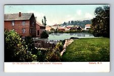 Hobart NY-New York, On The Delaware River, Catskill Mts, Vintage c1910 Postcard picture