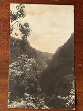 ATQ 1910s RPPC Postcard Hawaii Mountain Gorge Pristine Forest 