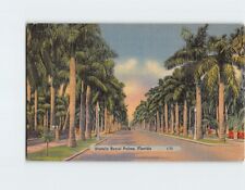 Postcard Stately Royal Palms, Florida picture