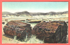 AGATIZED LOGS, PETRIFIED FOREST, ARIZONA – J.R. WILLIS - 1939 Linen Postcard picture