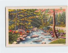 Postcard Picturesque Nature River Scene picture