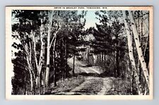 Tomahawk WI-Wisconsin, Drive In Bradley Park, Antique, Vintage c1936 Postcard picture