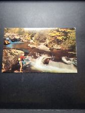 Landscape Postcard The Old Fishing Spot Anywhere In The USA picture