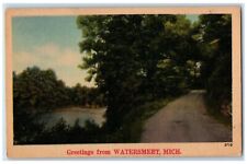 c1910's Greetings From Watersmeet Michigan MI, Dirt Road River View Postcard picture