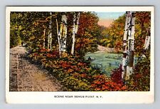 Bemus Point NY-New York, Scenic Country Road, c1927 Vintage Souvenir Postcard picture