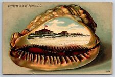 Postcard Isle of Palms SC Beach Cottages Clam Shell Embossed View picture