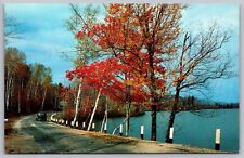Greetings From Bridgton ME Maine Old Rd Autumn Fall Lake Dr Postcard PM Cancel picture