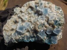 364 Translucent Blue Cubic Fluorite & Smoked Quartz Crystal Mineral Specimen picture