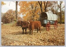 Covered Wagon Oxen Lincoln New Salem State Park Petersburg IL Illinois Postcard picture