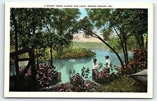 c1920 SPRING MOUNT PA SHADY NOOK ALONG THE LAKE W R KINDIG POSTCARD P4559 picture