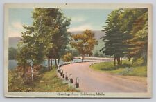 Greetings from Coldwater  Michigan Linen Postcard No 4114 picture