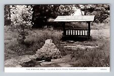IL-Illinois, The Wishing Well, White Pines Forest State Park, Vintage Postcard picture