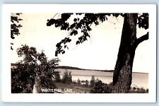 Pequot Minnesota MN Postcard RPPC Photo View Of Whitefish Lake c1940's Vintage picture