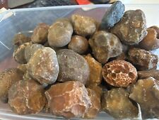 ROCK DADDY SPECIAL- 5 Pounds of Botswana Agate Nodules. Rough Full Skin Nodules. picture