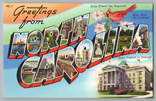 Postcard Greetings From North Carolina, Large Letter picture