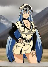 ESDEATH Akame Ga Kill Pin VERY RARE COLLECTIBLES KEVIN picture