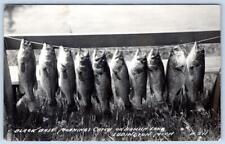 1951 RPPC LUDINGTON MICHIGAN BLACK BASS CATCH HAMLIN LAKE FISHING PHOTO POSTCARD picture