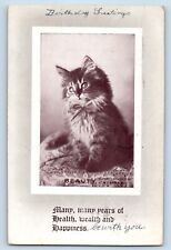 Wilkes Barre Pennsylvania PA Postcard Cat Kittens Haired Animal 1911 Antique picture