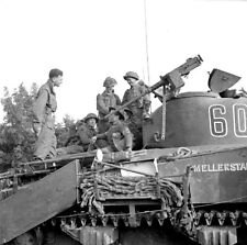 WWII Photo British Sherman Flail Tank France 1944  World War Two WW2 B&W / 3107 picture