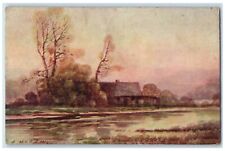 DPO Eldara Illinois IL Postcard A Quiet Spot House River Scene 1907 Antique picture