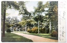 Scranton PA-Pennsylvania, The Cliff Nay Aug Park, c1909 Vintage Postcard picture