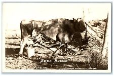 c1940's Sooo Boossie Grasshopper Milking Cow Garden City KS RPPC Photo Postcard picture