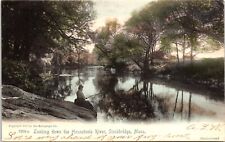 Looking Down Housatonic River Stockbridge MA RPPC With Hand- Colored picture