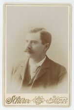 Antique c1880s Cabinet Card Handsome Man With Large Mustache Scherer Buffalo NY picture