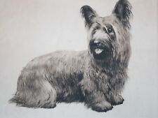 SKYE SILKY YORKSHIRE TERRIER ORIGINAL ETCHING EBERHARDT SIGNED 14x16 dog Germany picture