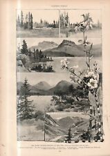 1896 Harper's Weekly April 11 - Original print-Ute Indians Happy Hunting Grounds picture