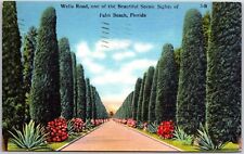 1963 Palm Beach CA-California, Wells Road Scenic Sights Towering Palms, Postcard picture