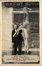 Woman Hunting Gun Dead Deer Wright House Hotel c1940s Postcard picture