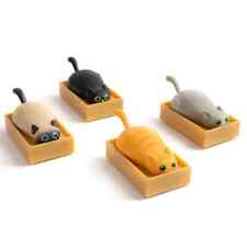 Racing Cats in Boxes picture