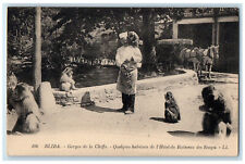 c1940's Hotel Du Ruisseau Monkeys Chiffa Blida Gorges Algeria Postcard picture