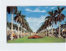Postcard Stately Royal Palms on Royal Poinciana Way Palm Beach Florida USA picture